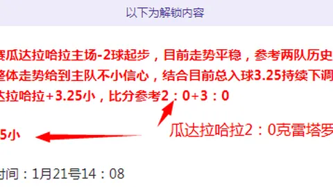借鉴欧足联模式，构建我国足协实时投注异常预警系统