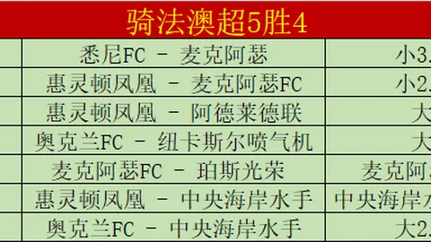 印尼专区走势微调 专家提醒关注大乐透期号分析